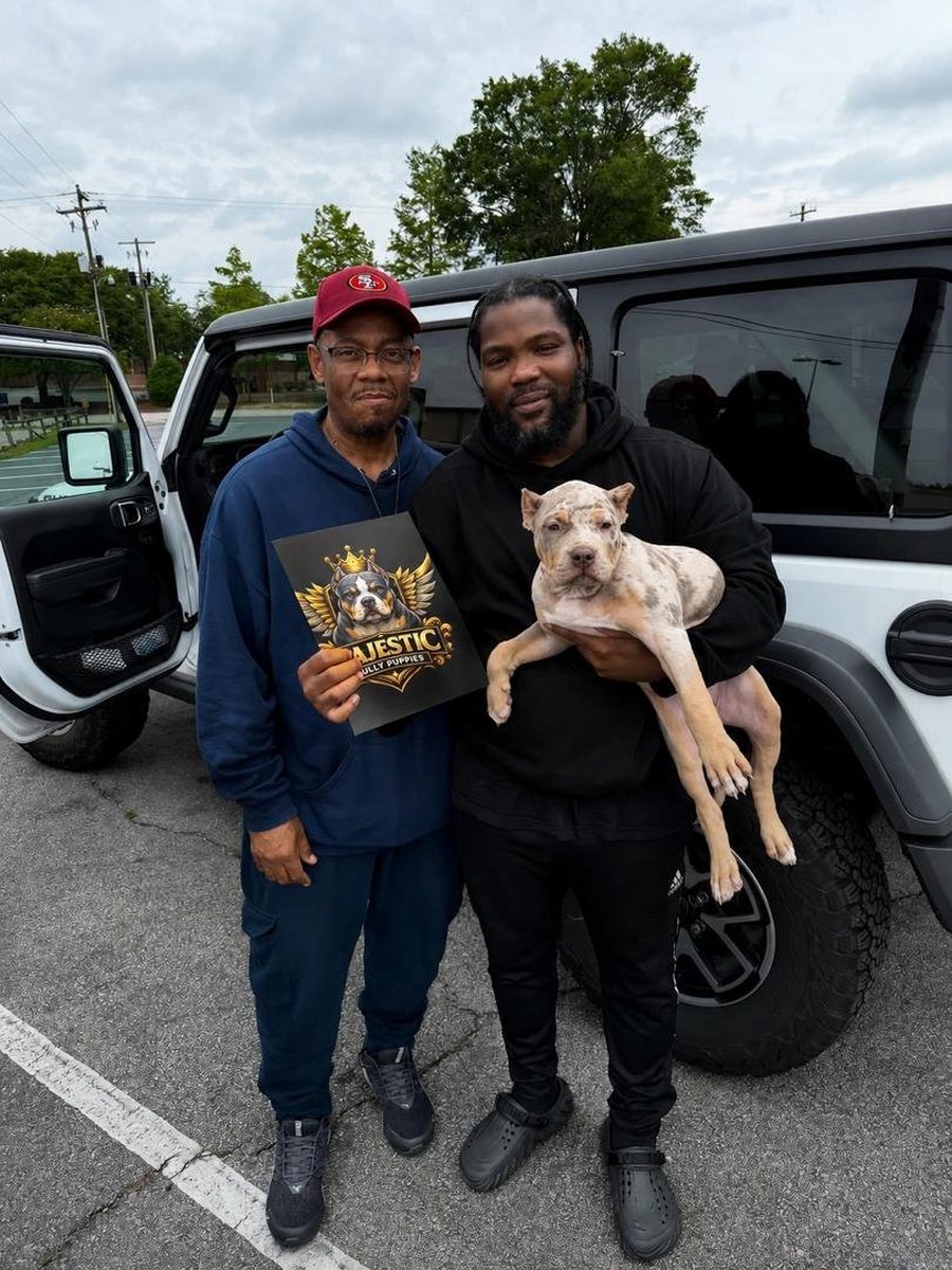 Two buyers with their merle American Bully puppy on collection day, holding the kennel folder