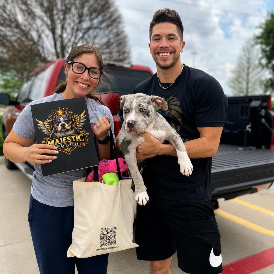 A couple collecting their merle American Bully puppy from Majestic American Bully, holding the puppy and its folder